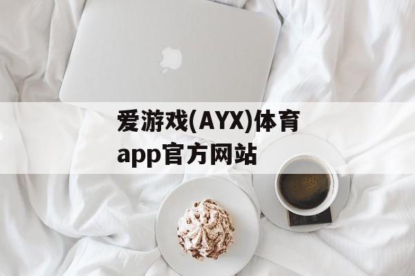 爱游戏(AYX)体育app官方网站